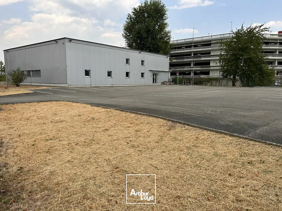 Locaux d'activité & Entrepôts - Vente - SAINT-LOUIS - 68300 - 1100-1100 - 7828897