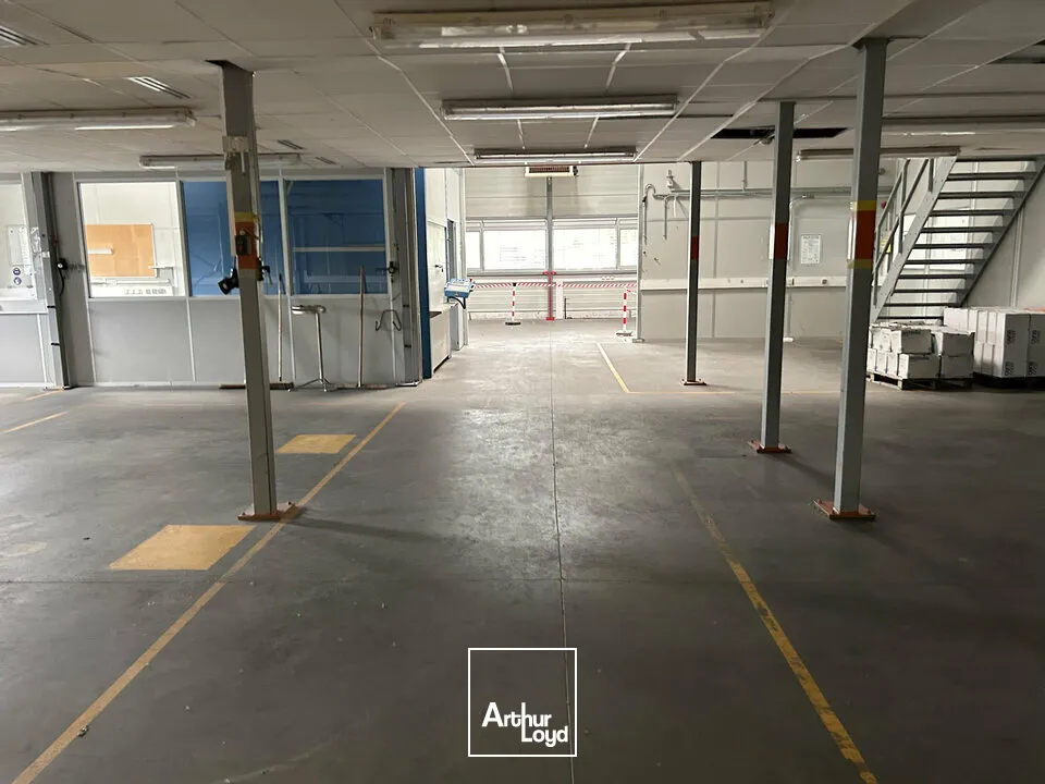 Locaux d'activité & Entrepôts - Vente - SAINT-LOUIS - 68300 - 1100-1100 - 7828903