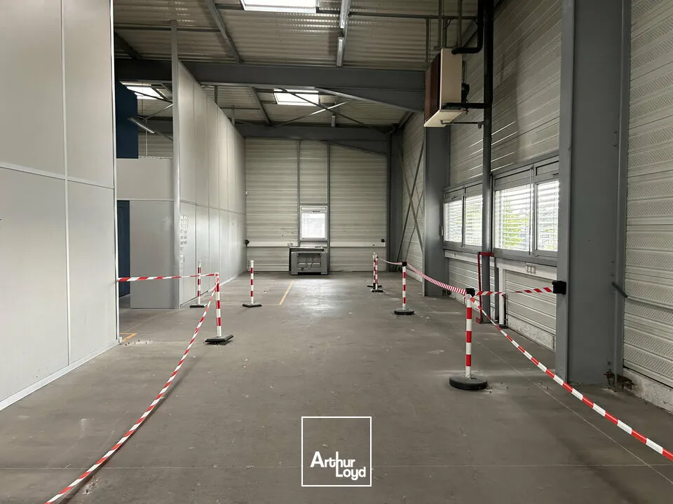 Locaux d'activité & Entrepôts - Vente - SAINT-LOUIS - 68300 - 1100-1100 - 7828904