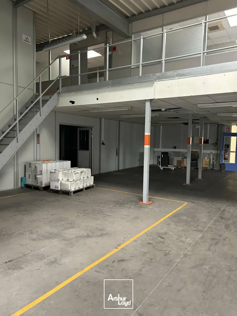 Locaux d'activité & Entrepôts - Vente - SAINT-LOUIS - 68300 - 1100-1100 - 7828905