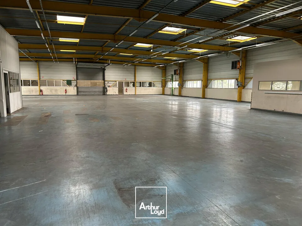 Locaux d'activité & Entrepôts - Vente - WITTENHEIM - 68270 - 2340-2340 - 7828913