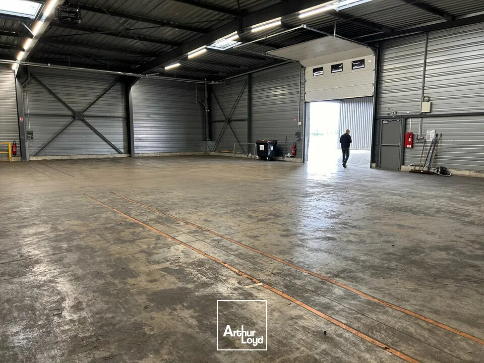Locaux d'activité & Entrepôts - Vente - WITTENHEIM - 68270 - 2340-2340 - 7828916