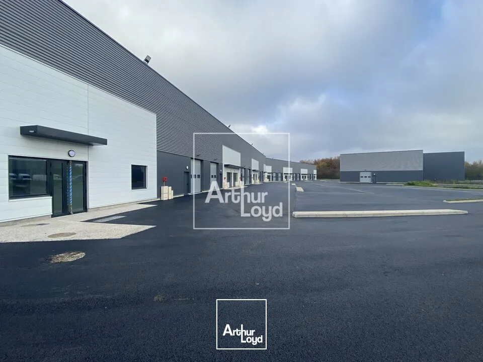 Locaux d'activité & Entrepôts - Location - SAVIGNY LE TEMPLE - 77176 - 218-218 - 7828938