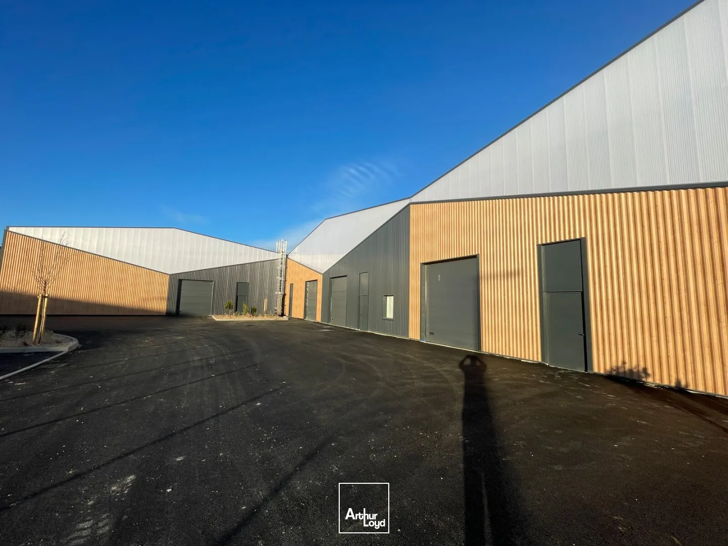 Locaux d'activité & Entrepôts - Location - BEZIERS - 34500 - 230.54-495.98 - 7829226