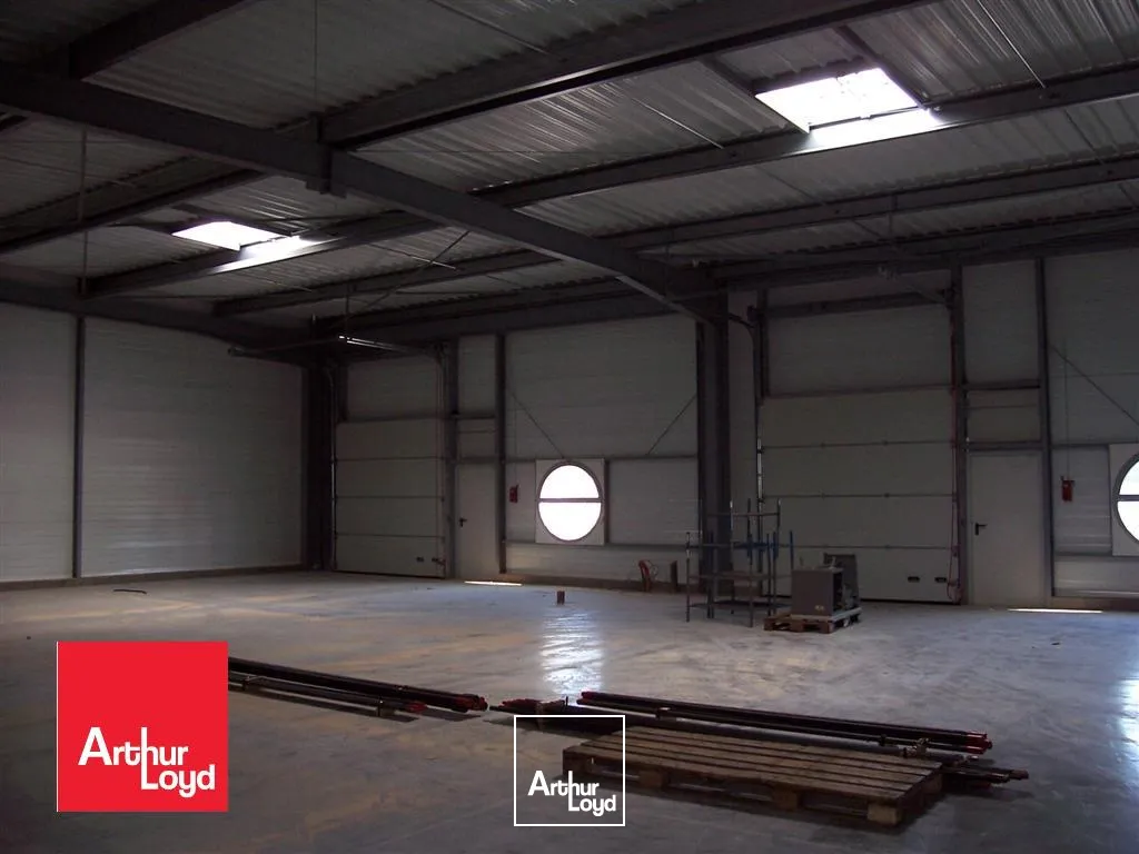 Locaux d'activité & Entrepôts - Location - CHARTRES - 28000 - 150-150 - 7829562