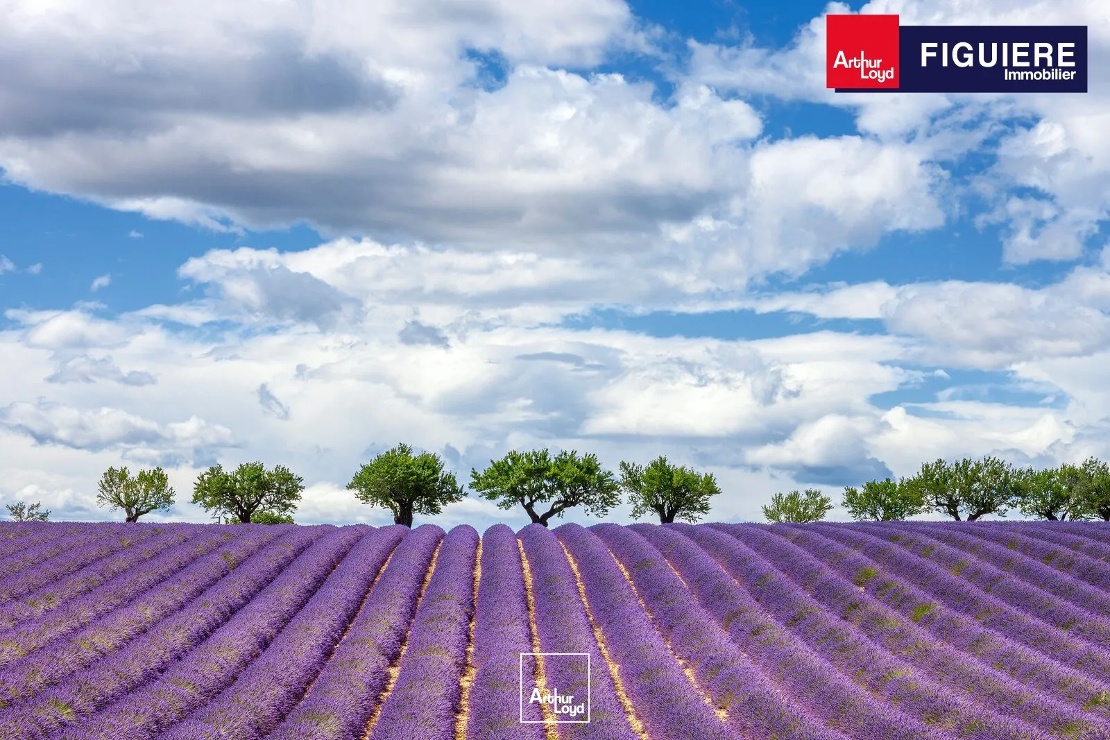 Locaux commerciaux - Location - AIX EN PROVENCE - 13100 - 37-37 - 7829719