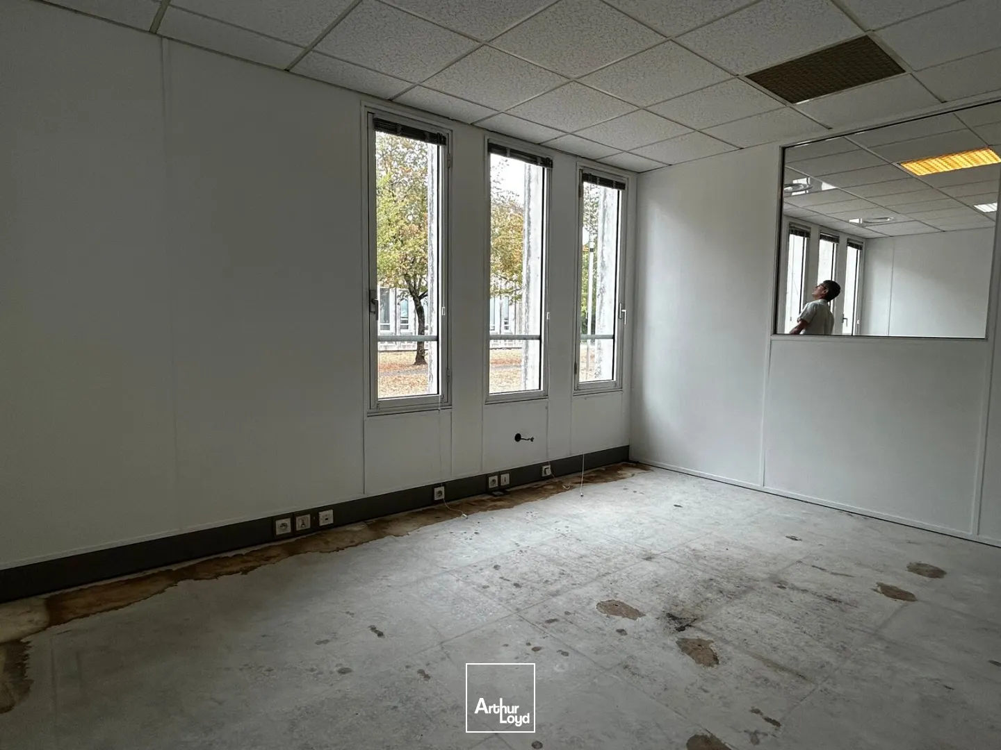 Bureaux - Location - BORDEAUX - 33000 - 202-202 - 7829760