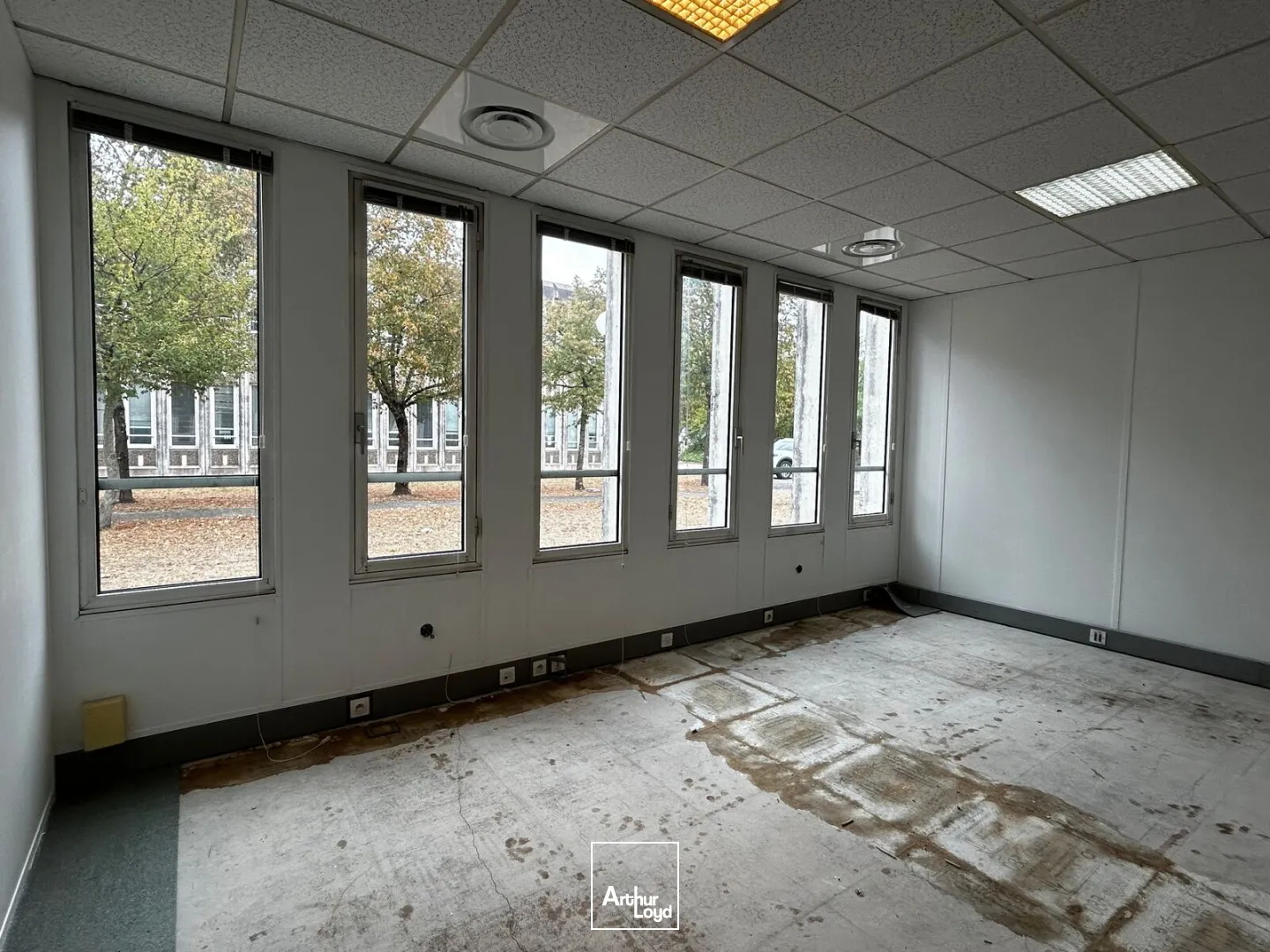 Bureaux - Location - BORDEAUX - 33000 - 202-202 - 7829762