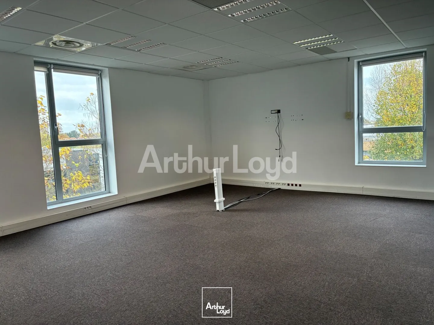 Bureaux - Location - VILLENEUVE D'ASCQ - 59650 - 222-1293.9 - 7830106
