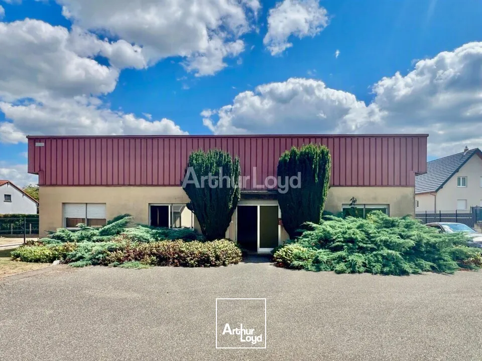 Locaux d'activité & Entrepôts - Vente - BERGHOLTZ - 68500 - 608-608 - 7831363