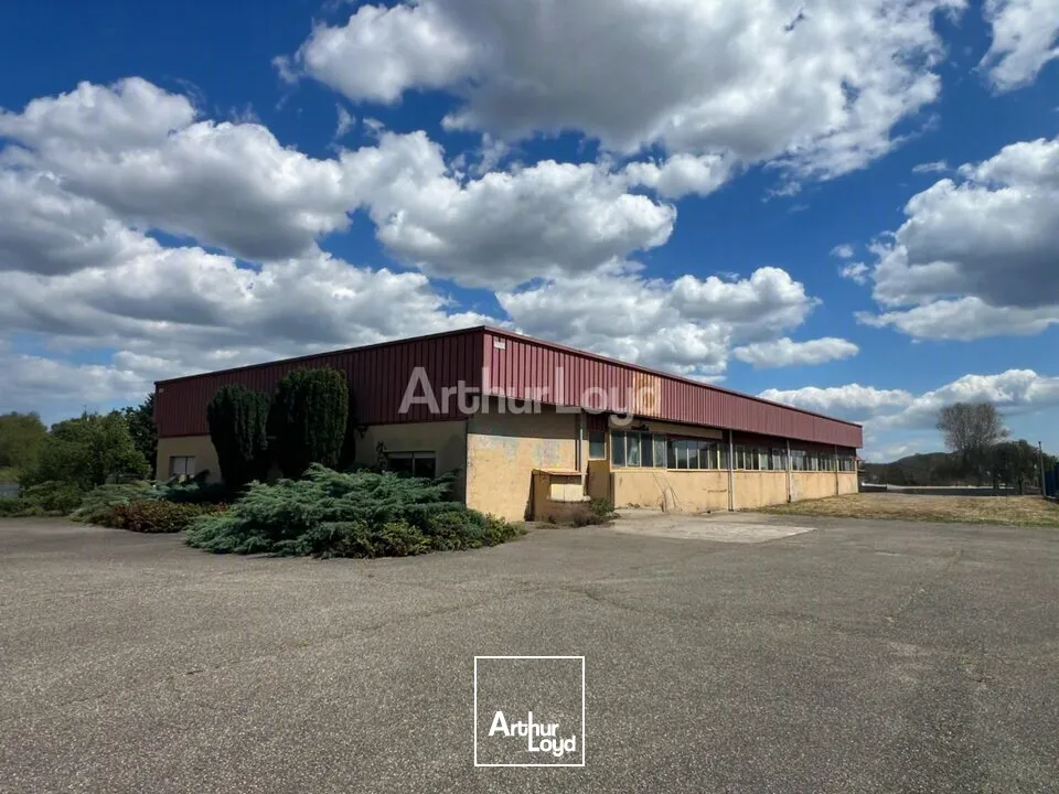Locaux d'activité & Entrepôts - Vente - BERGHOLTZ - 68500 - 608-608 - 7831364