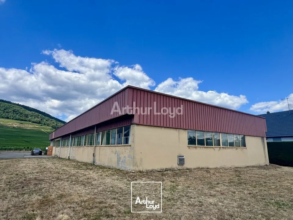 Locaux d'activité & Entrepôts - Vente - BERGHOLTZ - 68500 - 608-608 - 7831366