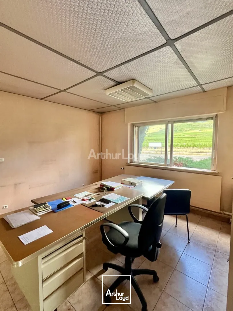 Locaux d'activité & Entrepôts - Vente - BERGHOLTZ - 68500 - 608-608 - 7831369