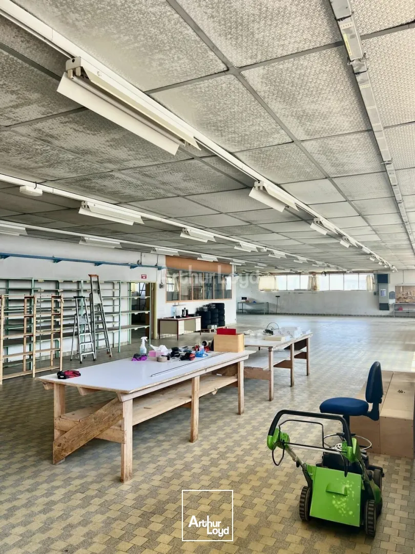 Locaux d'activité & Entrepôts - Vente - BERGHOLTZ - 68500 - 608-608 - 7831371