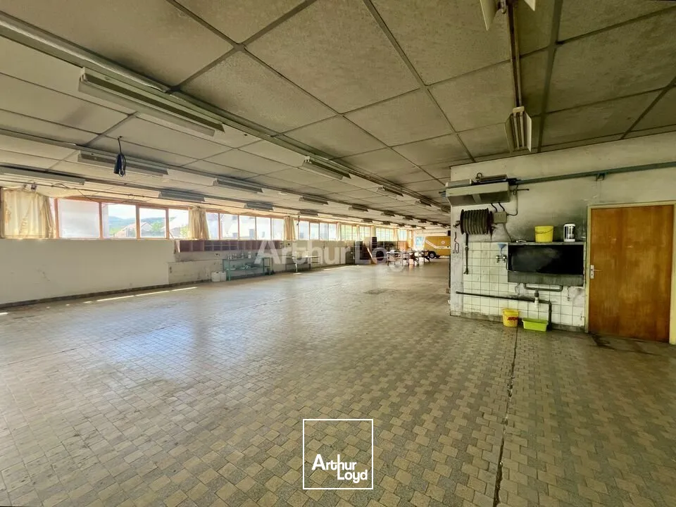 Locaux d'activité & Entrepôts - Vente - BERGHOLTZ - 68500 - 608-608 - 7831373