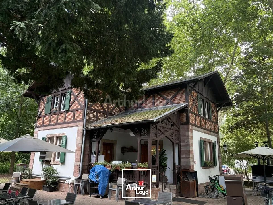 Locaux commerciaux - Cession - STRASBOURG - 67000 - 236.38-236.38 - 7831374