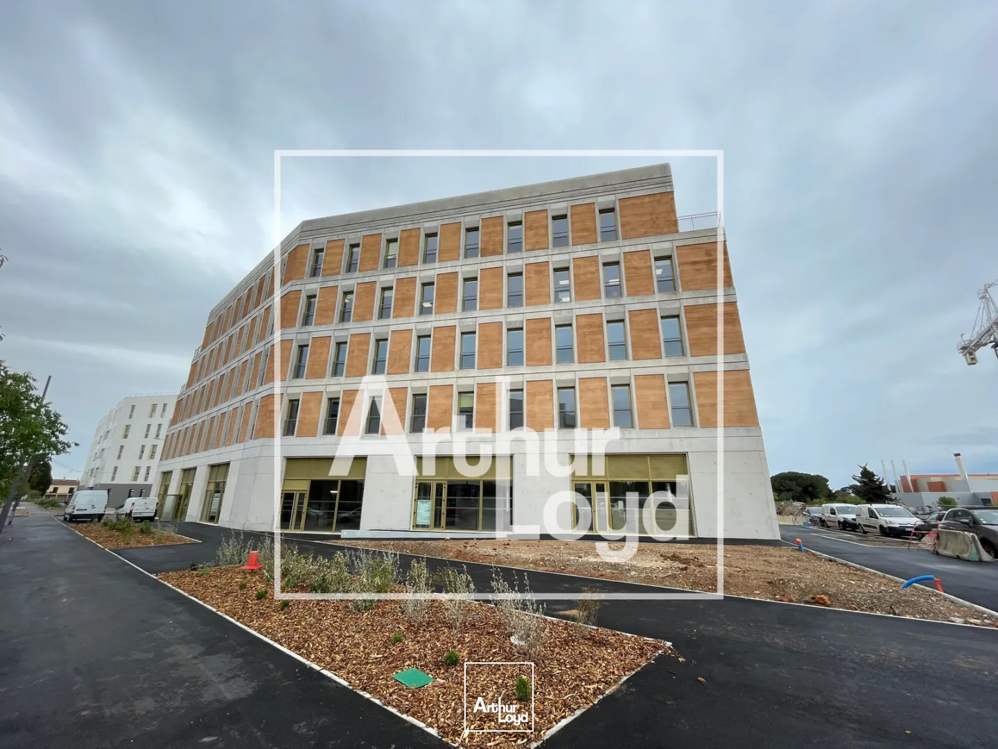 Locaux commerciaux - Location - MONTPELLIER - 34000 - 132-132 - 7831542