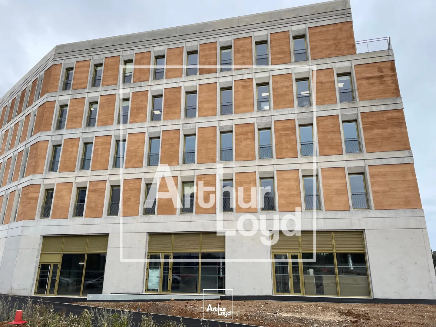 Locaux commerciaux - Location - MONTPELLIER - 34000 - 132-132 - 7831543