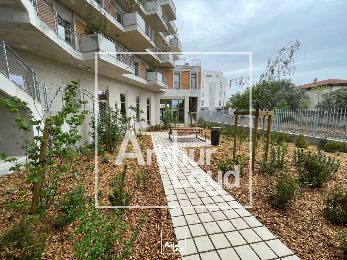 Locaux commerciaux - Location - MONTPELLIER - 34000 - 132-132 - 7831541