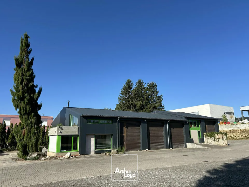 Locaux d'activité & Entrepôts - Location - DIDENHEIM - 68350 - 470-470 - 7832701