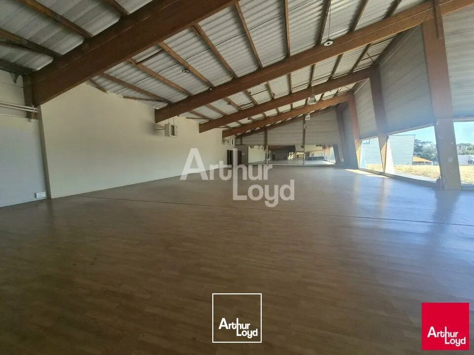 Locaux commerciaux - Location - BEAUCOUZÉ - 49070 - 1326-1326 - 7832745