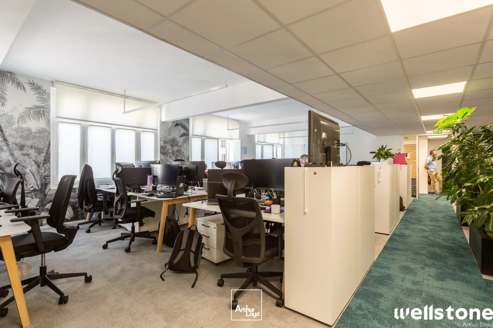 Bureaux - Location - PARIS - 75008 - 299-299 - 7833587