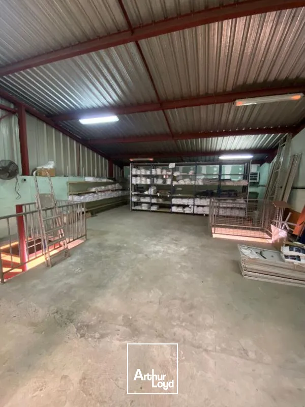 Locaux d'activité & Entrepôts - Location - Fort De France - 97200 - 300-300 - 7833926