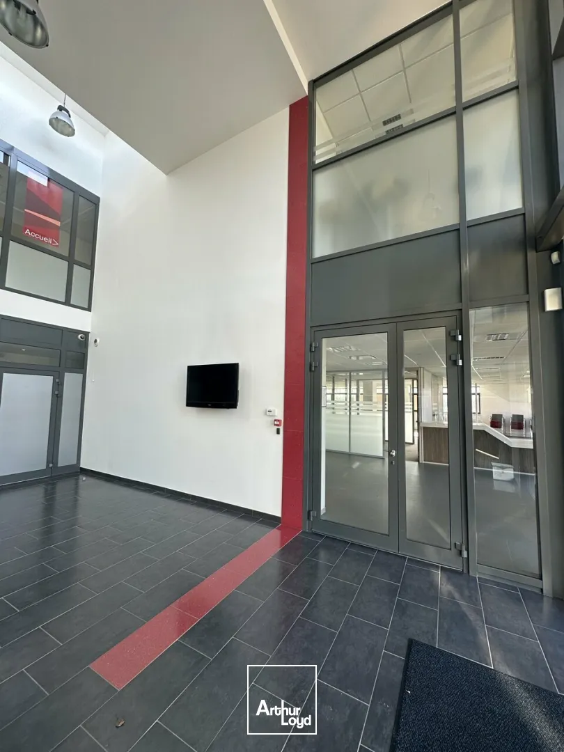 Bureaux - Vente - SCHILTIGHEIM - 67300 - 345-700 - 7833969