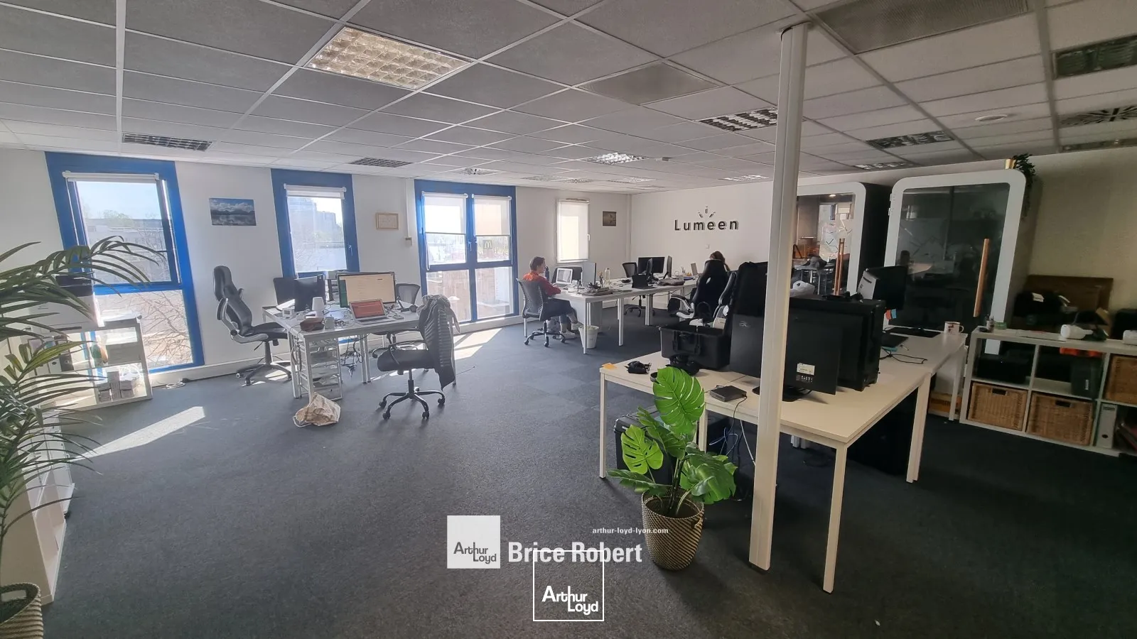Bureaux - Location - LYON - 69007 - 344.94-344.94 - 7834433