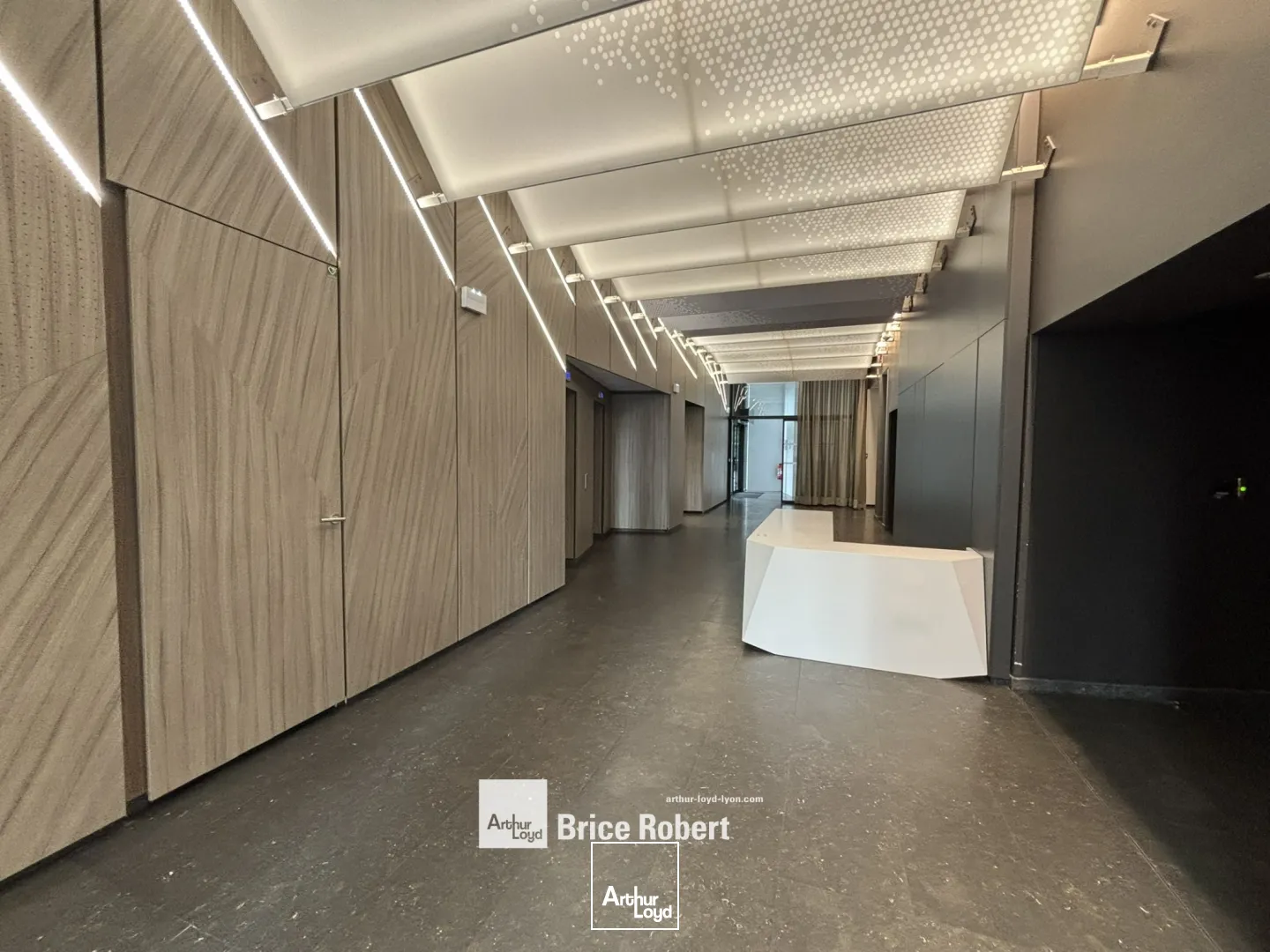 Bureaux - Location - LYON - 69002 - 363.4-4537.3 - 7834515