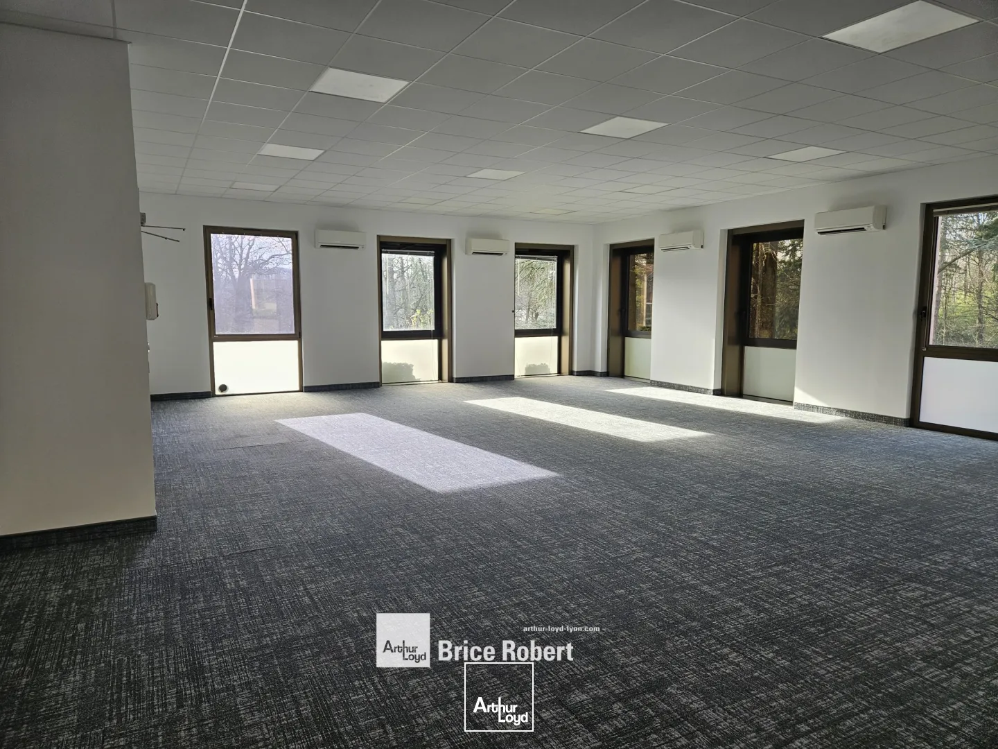 Bureaux - Location - ECULLY - 69130 - 179-371 - 7834531