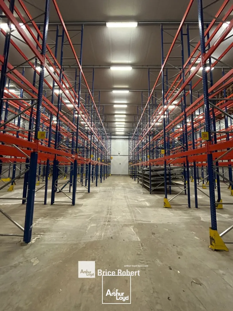 Locaux d'activité & Entrepôts - Vente - CIVRIEUX D'AZERGUES - 69380 - 4266-4266 - 7834624