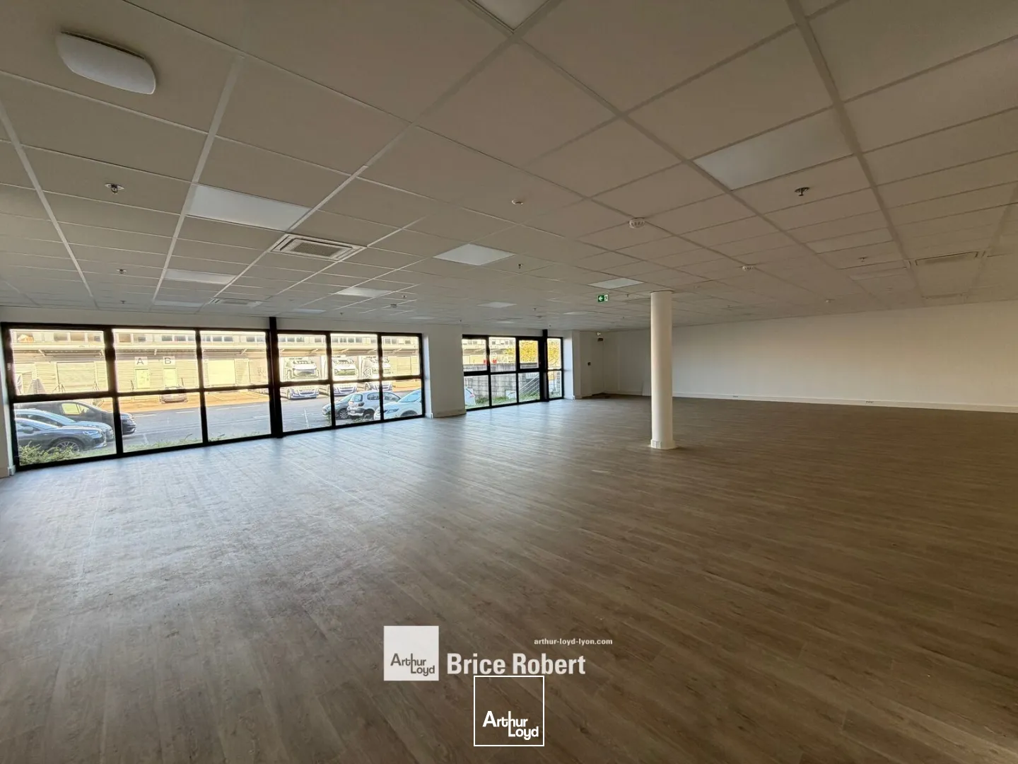 Locaux d'activité & Entrepôts - Location - MIONS - 69780 - 438-25465 - 7834703