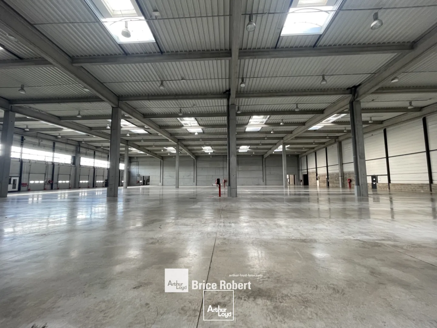 Locaux d'activité & Entrepôts - Location - MIRIBEL - 01700 - 9623-9623 - 7834712