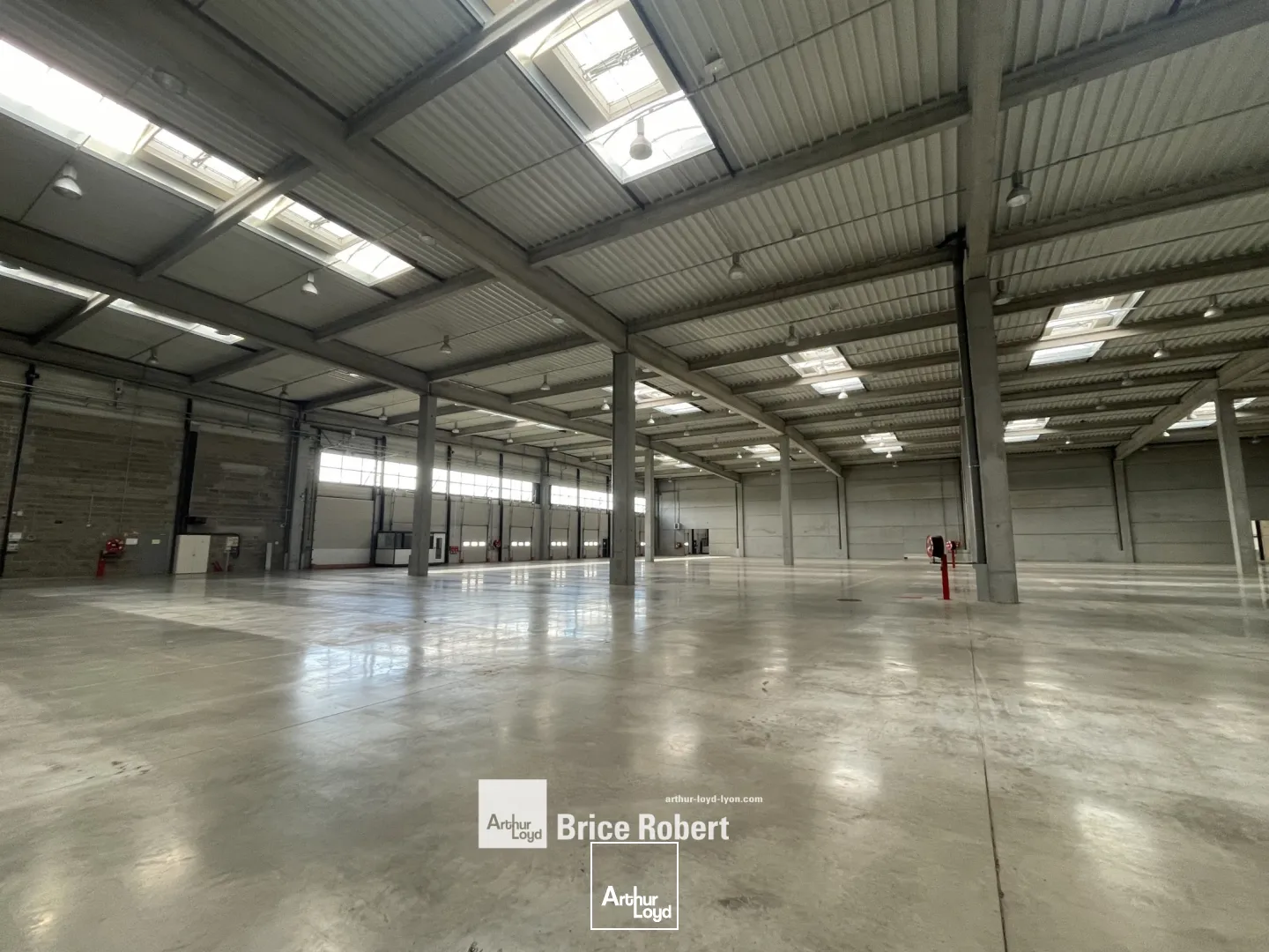 Locaux d'activité & Entrepôts - Location - MIRIBEL - 01700 - 9623-9623 - 7834714