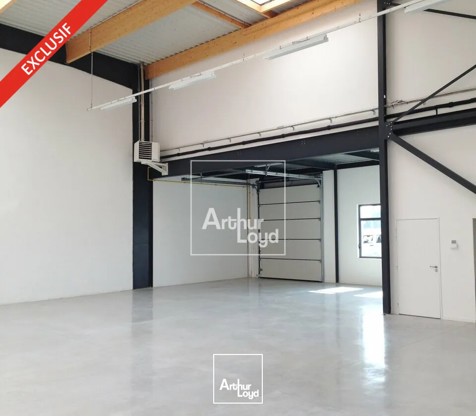 Locaux d'activité & Entrepôts - Location - LIEUSAINT - 77127 - 235-235 - 7835912