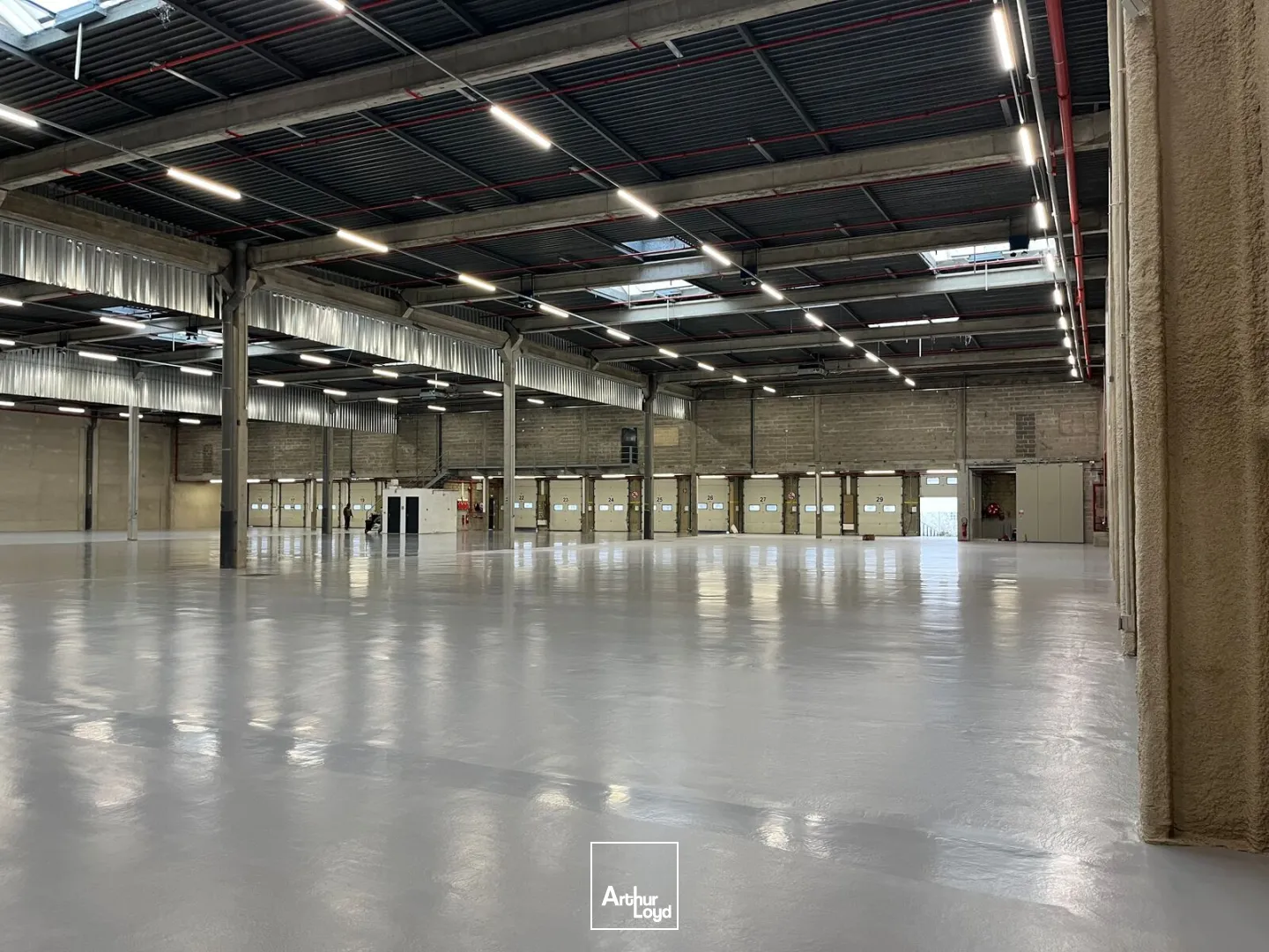 Locaux d'activité & Entrepôts - Location - SAINT WITZ - 95470 - 2686-10731 - 7836220