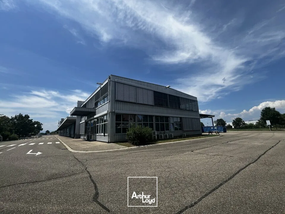 Locaux d'activité & Entrepôts - Vente - ALGOLSHEIM - 68600 - 7500-7500 - 7836601