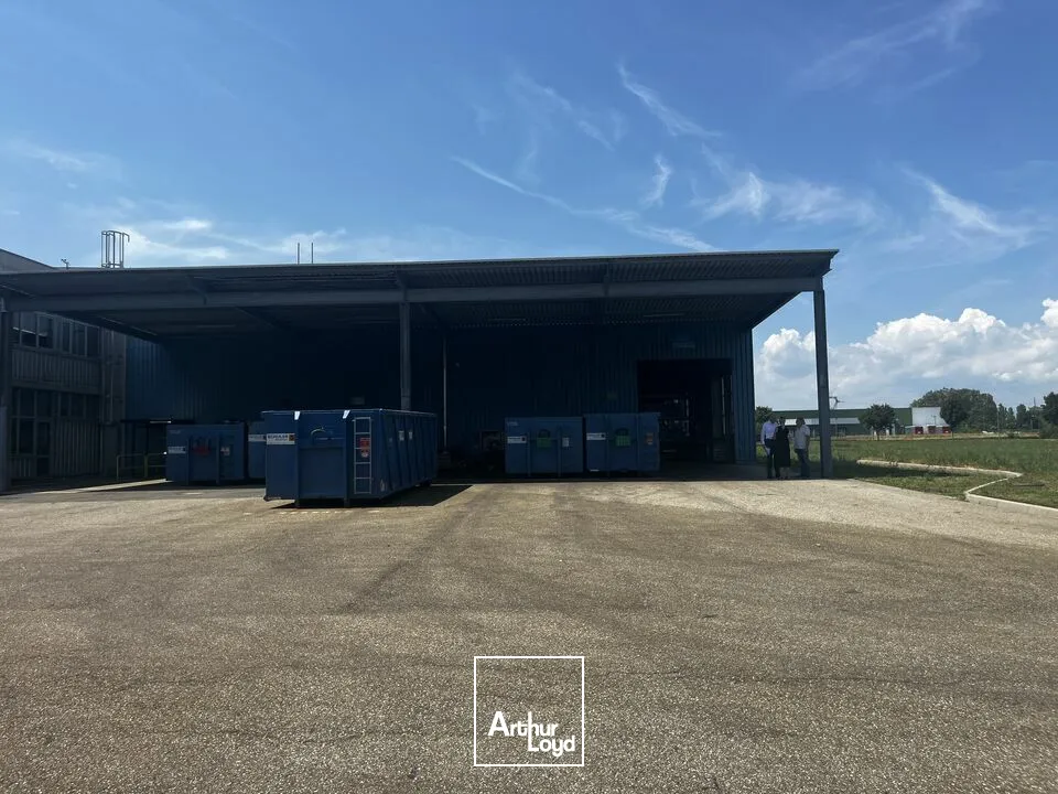 Locaux d'activité & Entrepôts - Vente - ALGOLSHEIM - 68600 - 7500-7500 - 7836602