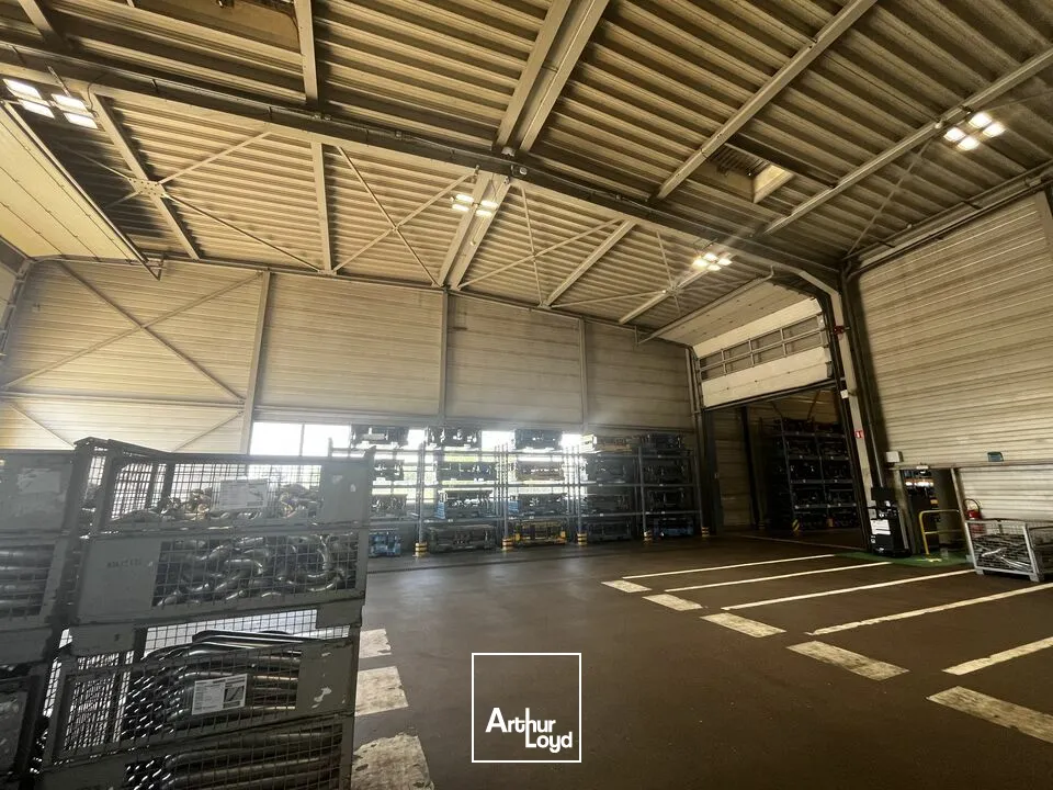 Locaux d'activité & Entrepôts - Vente - ALGOLSHEIM - 68600 - 7500-7500 - 7836603