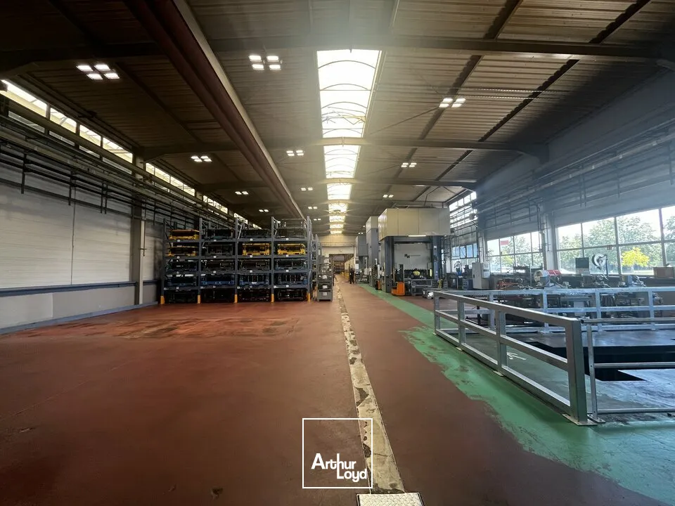 Locaux d'activité & Entrepôts - Vente - ALGOLSHEIM - 68600 - 7500-7500 - 7836605