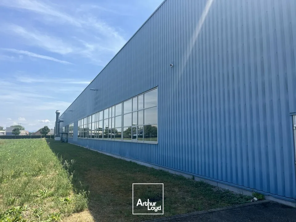 Locaux d'activité & Entrepôts - Vente - ALGOLSHEIM - 68600 - 7500-7500 - 7836606