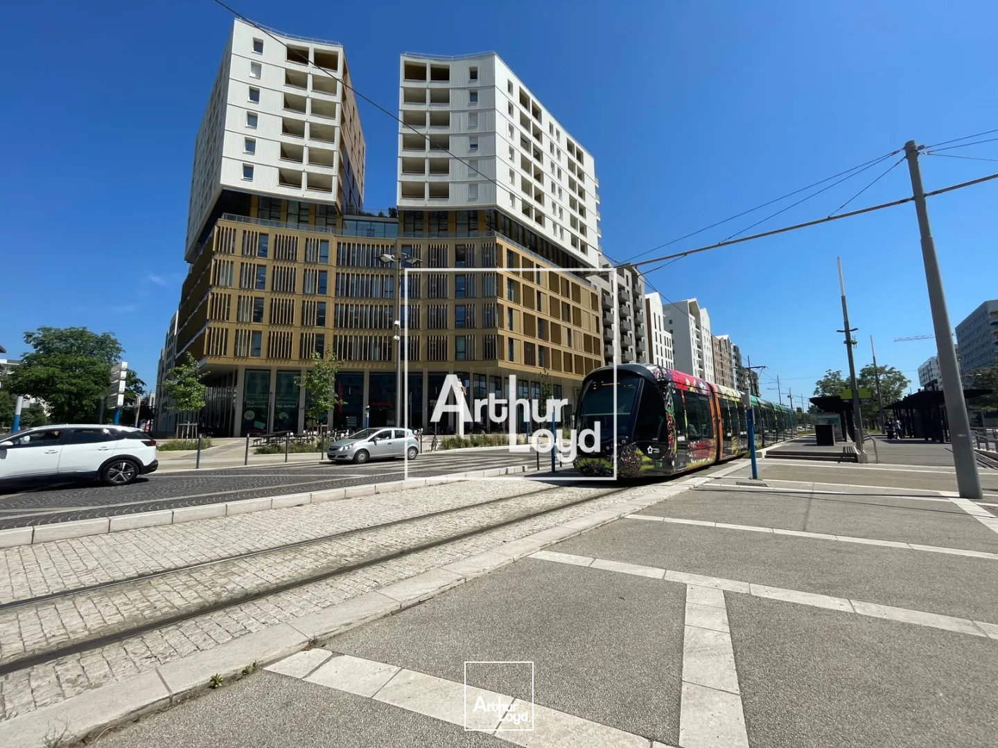 Locaux commerciaux - Location - MONTPELLIER - 34000 - 113.14-113.14 - 7836688
