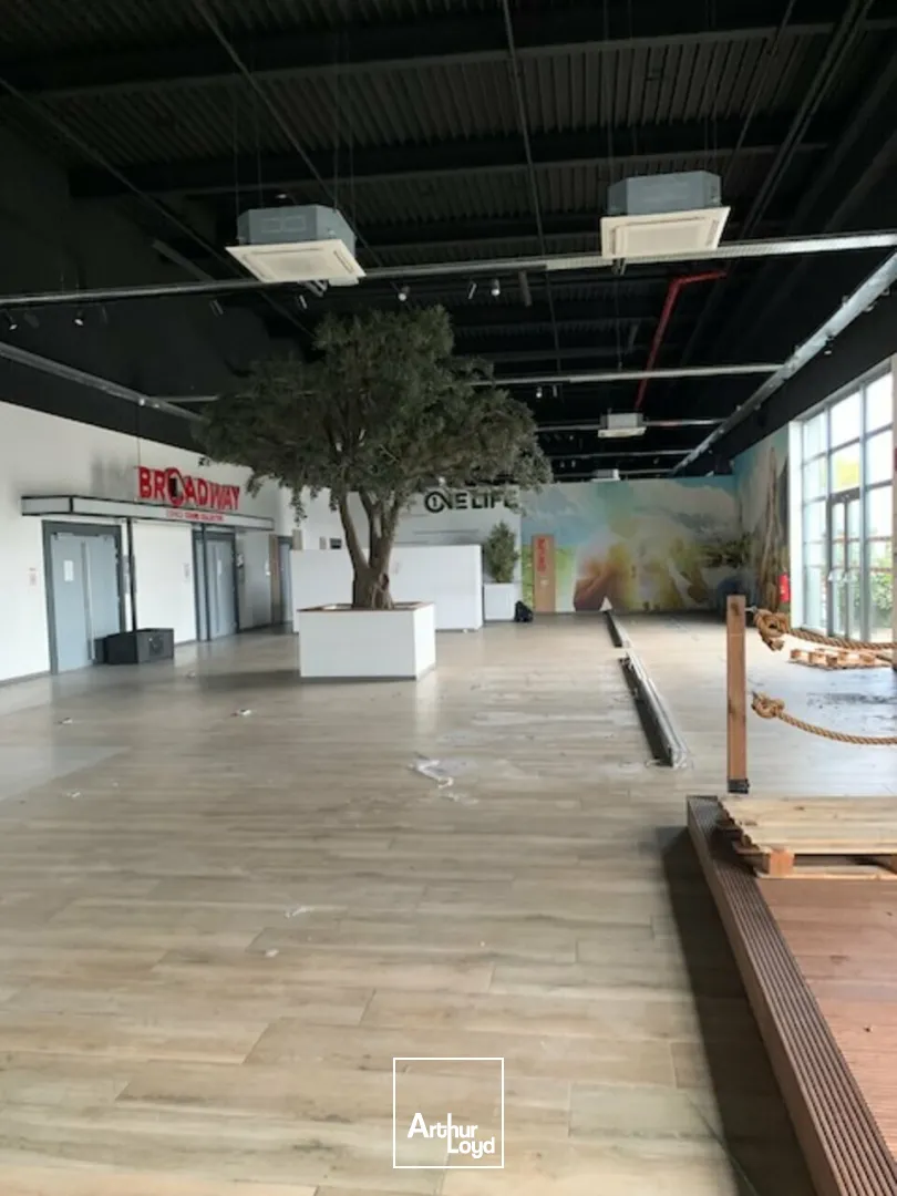 Locaux commerciaux - Location - AVIGNON - 84000 - 1181.66-1181.66 - 7837952
