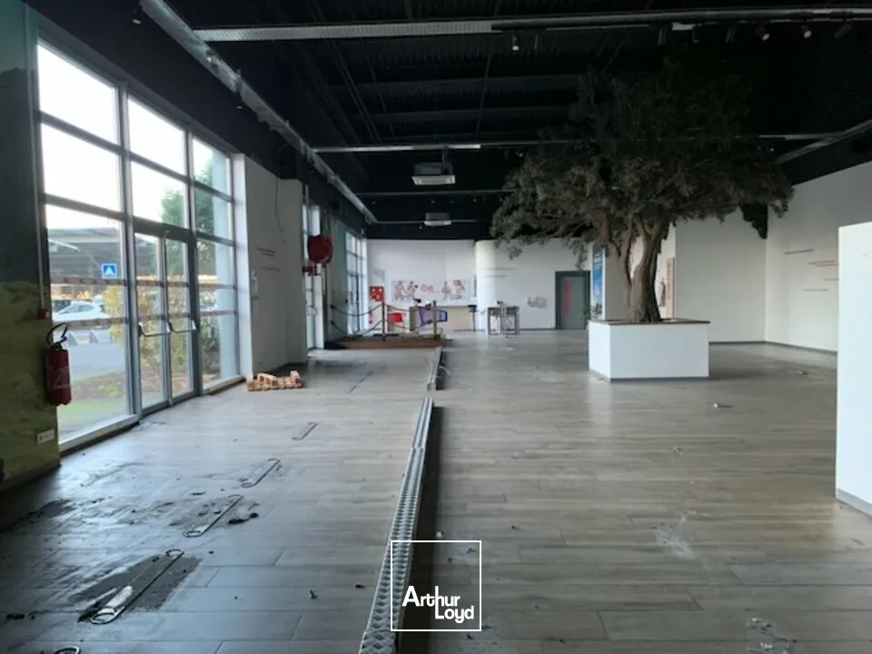 Locaux commerciaux - Location - AVIGNON - 84000 - 1181.66-1181.66 - 7837958