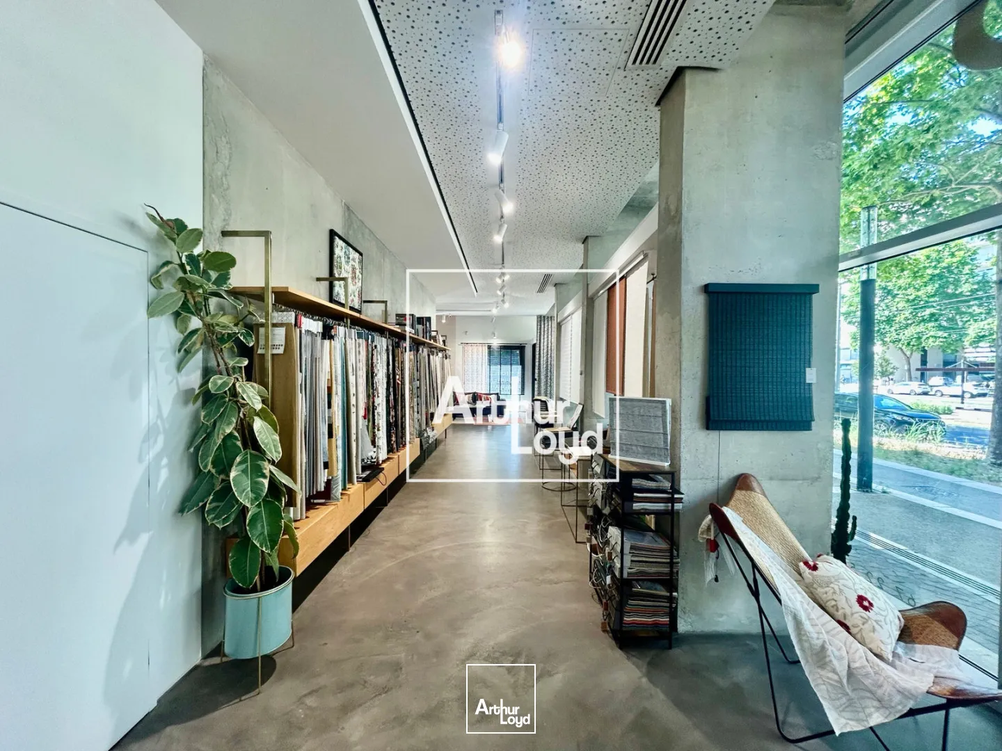 Locaux commerciaux - Location - MONTPELLIER - 34000 - 237-237 - 7838170