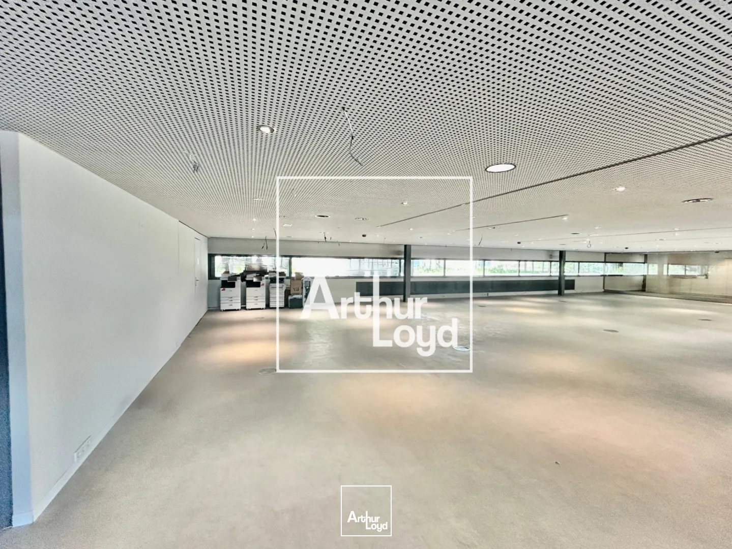 Locaux commerciaux - Location - MONTPELLIER - 34000 - 1034.63-1034.63 - 7838177