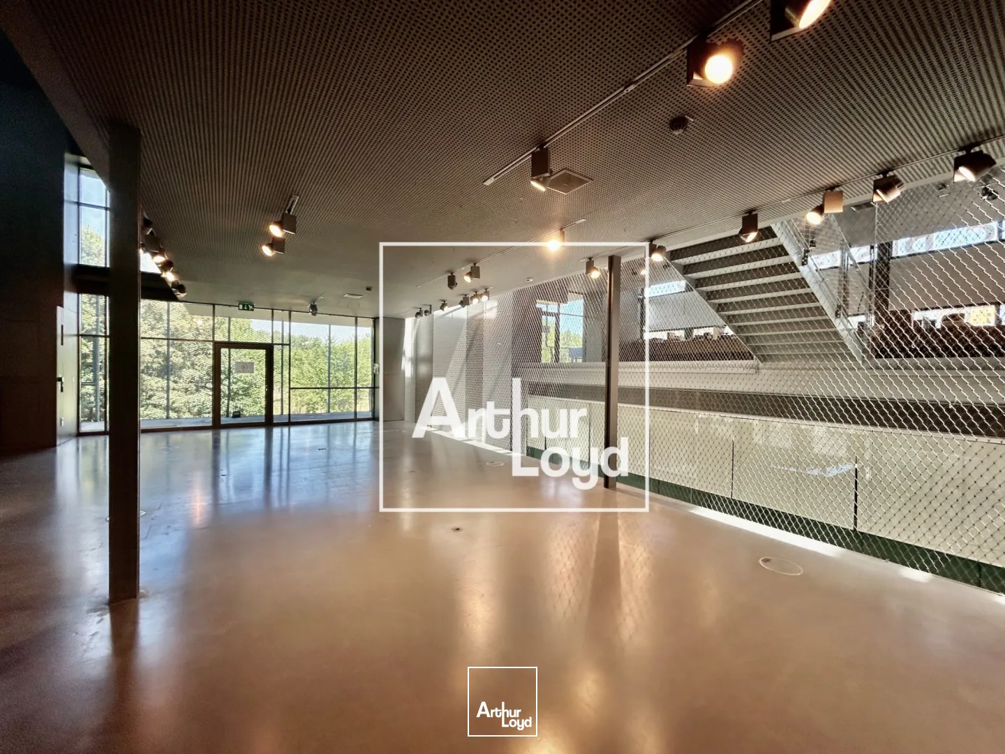Locaux commerciaux - Location - MONTPELLIER - 34000 - 1034.63-1034.63 - 7838186