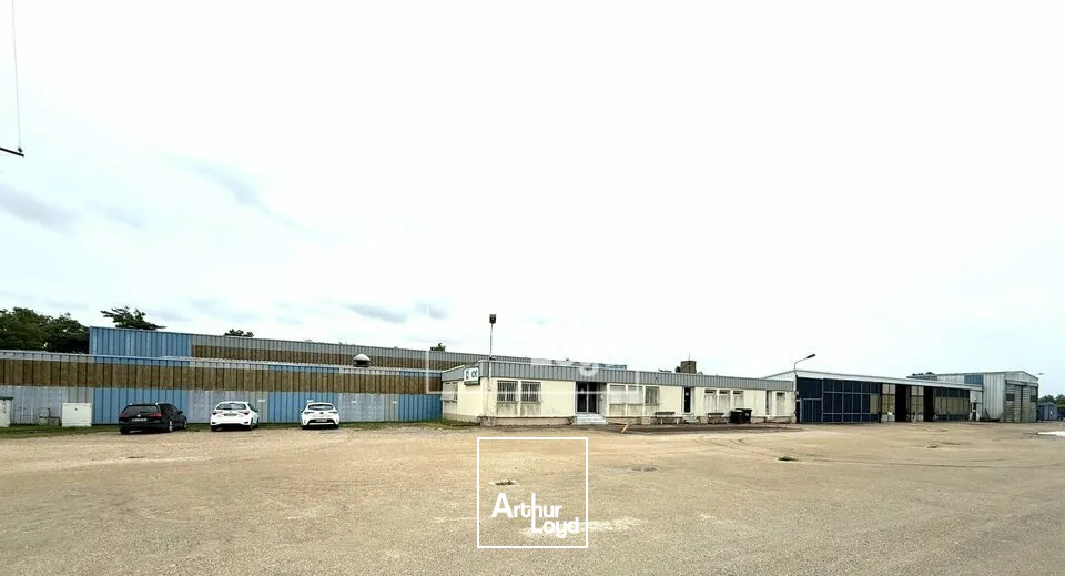 Locaux d'activité & Entrepôts - Vente - LE MALESHERBOIS - 45330 - 3200-3200 - 7838782