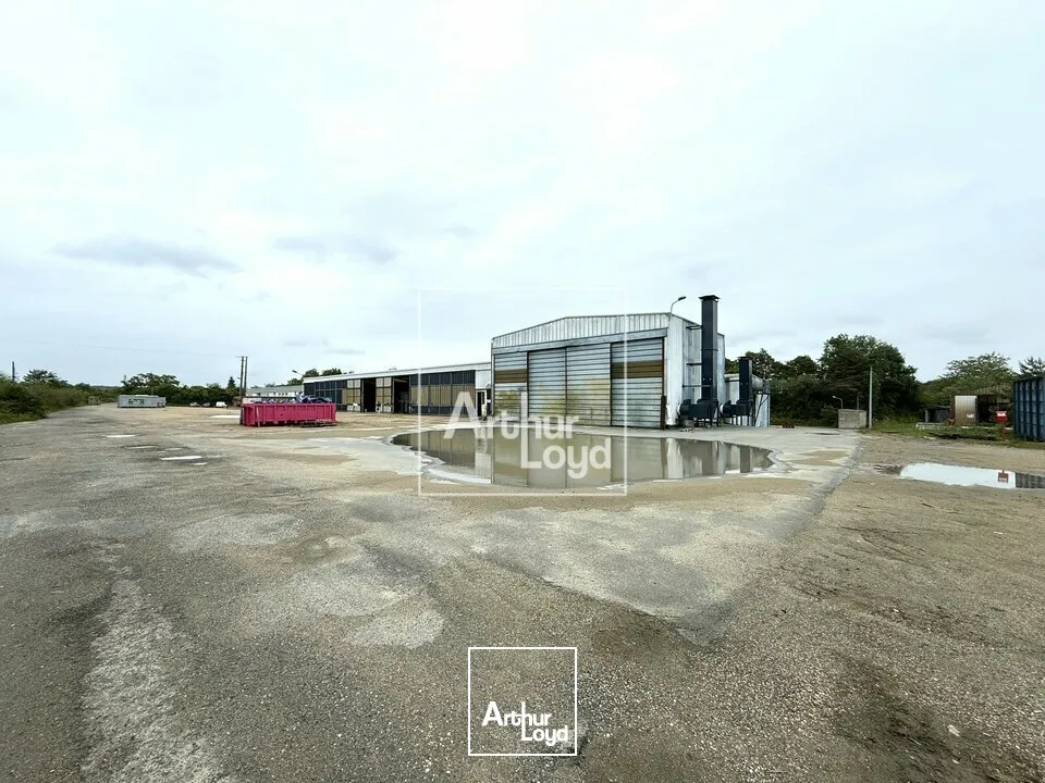 Locaux d'activité & Entrepôts - Vente - LE MALESHERBOIS - 45330 - 3200-3200 - 7838781